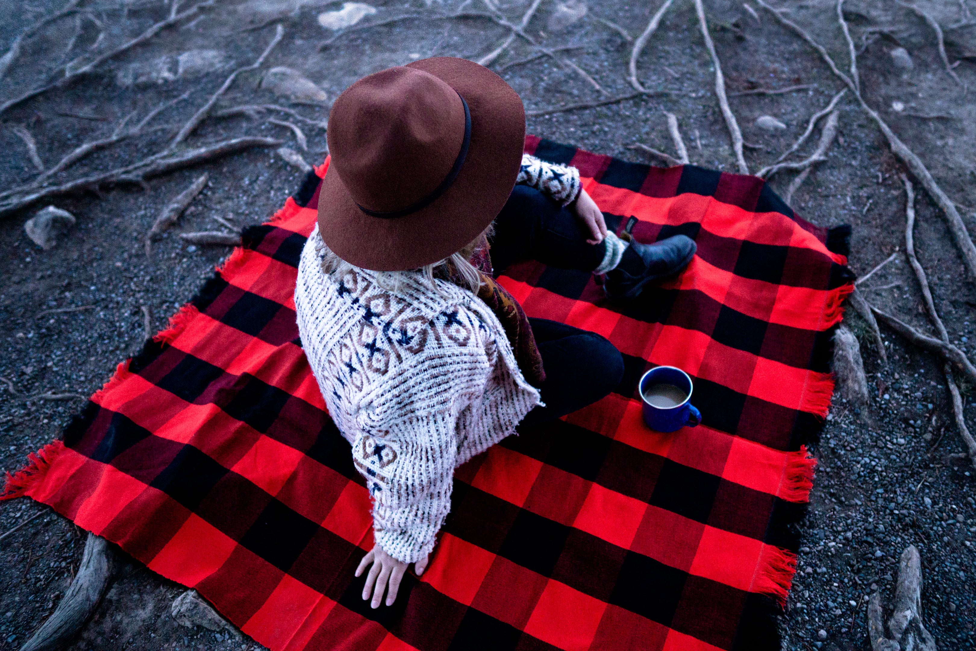 Red plaid picnic blanket sale